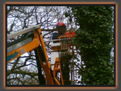 CHAINSAW FROM A MOBILE ELEVATED WORK PLATFORM (CS47)