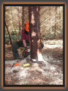 FELLING TREES UP TO 380MM