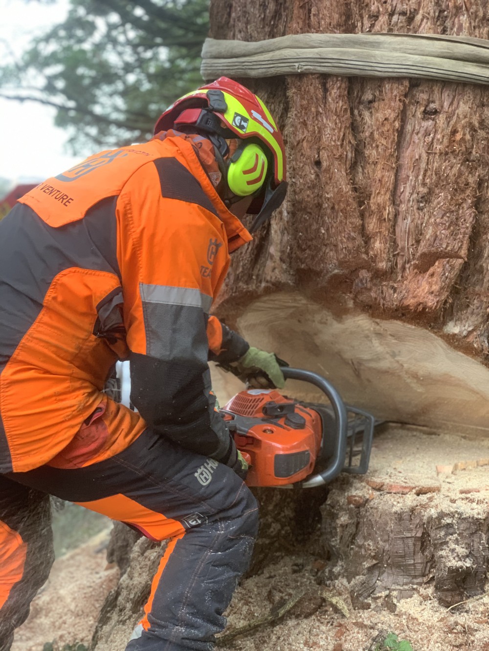 Arbor Venture Training