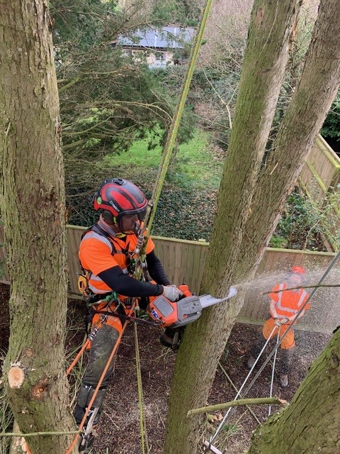 Pipe Rigging Av Tree Arbor Venture Training
